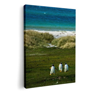 A[gpl G G  IׂTCY 420×594 mm A2 _  ʐ^ tHg CeA  022981 ʐ^@iF@C@