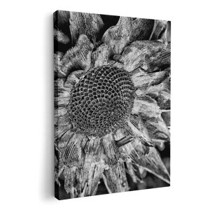 A[gpl G G  IׂTCY 420×594 mm A2 _  ʐ^ tHg CeA  022990 Ђ܂@ԁ@mN