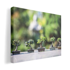 A[gpl G G  IׂTCY 420×594 mm A2 _  ʐ^ tHg CeA  023001 ~́@A@ʐ^