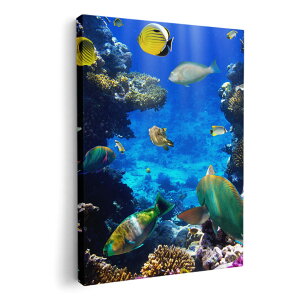 A[gpl G G  IׂTCY 420×594 mm A2 _  ʐ^ tHg CeA  004493 C@@ʐ^