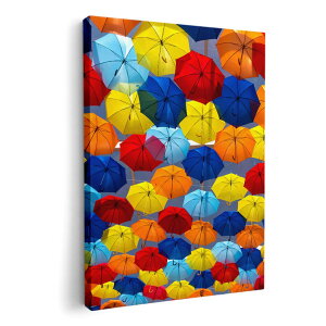 A[gpl G G  IׂTCY 420×594 mm A2 _  ʐ^ tHg CeA  004598 P@Jt@ʐ^