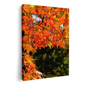 A[gpl G G  IׂTCY 420×594 mm A2 _  ʐ^ tHg CeA  004615 gt@H@i