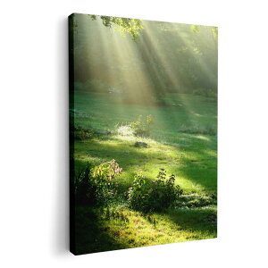 A[gpl G G  IׂTCY 420×594 mm A2 _  ʐ^ tHg CeA  004644 X@ʐ^@iF