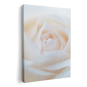 A[gpl G G  IׂTCY 420×594 mm A2 _  ʐ^ tHg CeA  005080 @KN@ʐ^