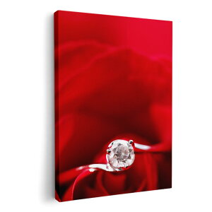 A[gpl G G  IׂTCY 420×594 mm A2 _  ʐ^ tHg CeA  005136 ԁ@wց@KN