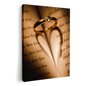 A[gpl G G  IׂTCY 420×594 mm A2 _  ʐ^ tHg CeA  005200 wց@LOVE@