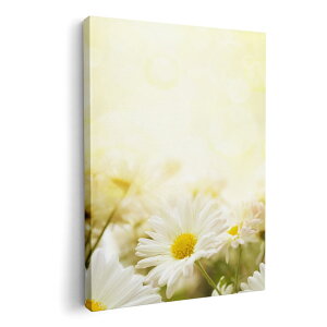 A[gpl G G  IׂTCY 420×594 mm A2 _  ʐ^ tHg CeA  005332 @ԁ@t[