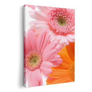 A[gpl G G  IׂTCY 420×594 mm A2 _  ʐ^ tHg CeA  005378 ԁ@t[@ʐ^