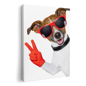 A[gpl G G  IׂTCY 420×594 mm A2 _  ʐ^ tHg CeA  006760 ʐ^@@