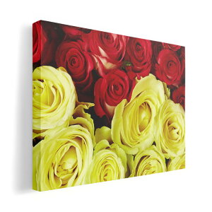 A[gpl G G  IׂTCY 420×594 mm A2 _  ʐ^ tHg CeA  006849 ʐ^@ԁ@t[