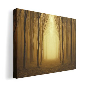 A[gpl G G  IׂTCY 420×594 mm A2 _  ʐ^ tHg CeA  007665 ʐ^@؁@A@X