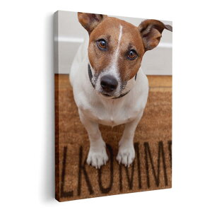 A[gpl G G  IׂTCY 420×594 mm A2 _  ʐ^ tHg CeA  007766 ʐ^@@@zCg