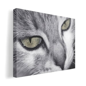 アートパネル 絵 絵画 飾り 選べるサイズ 420×594 mm A2 モダン 玄関 写真 フォト インテリア おしゃれ 007896 写真 猫 ねこ モノクロ