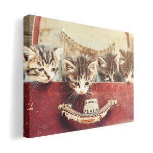 A[gpl G G  IׂTCY 420×594 mm A2 _  ʐ^ tHg CeA  008717 ʐ^@L@lR@Jo@