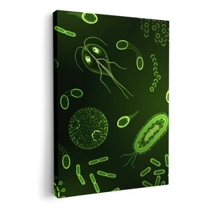 A[gpl G G  IׂTCY 420×594 mm A2 _  ʐ^ tHg CeA  008781 ΁@O[@