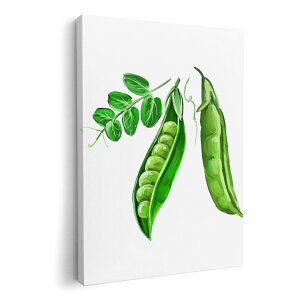 A[gpl G G  IׂTCY 420×594 mm A2 _  ʐ^ tHg CeA  008858 CXg@}@O[@