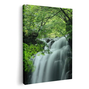 A[gpl G G  IׂTCY 420×594 mm A2 _  ʐ^ tHg CeA  008874 ʐ^@@X