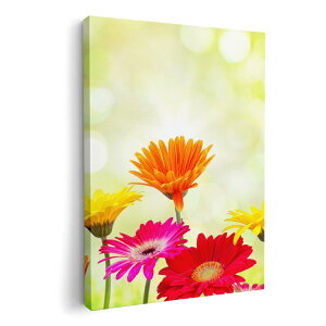 A[gpl G G  IׂTCY 420×594 mm A2 _  ʐ^ tHg CeA  008881 Jt@ʐ^@ԁ@t[