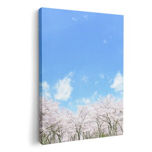 A[gpl G G  IׂTCY 420×594 mm A2 _  ʐ^ tHg CeA  009459 t[@@@ʐ^