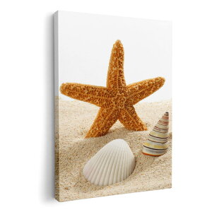 A[gpl G G  IׂTCY 420×594 mm A2 _  ʐ^ tHg CeA  009536 Lk@C@ʐ^