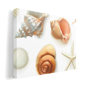 A[gpl G G  IׂTCY 420×594 mm A2 _  ʐ^ tHg CeA  009662 Lk@C@l