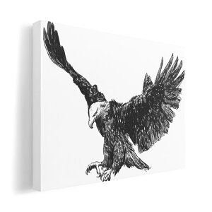 A[gpl G G  IׂTCY 420×594 mm A2 _  ʐ^ tHg CeA  009728 @a@a