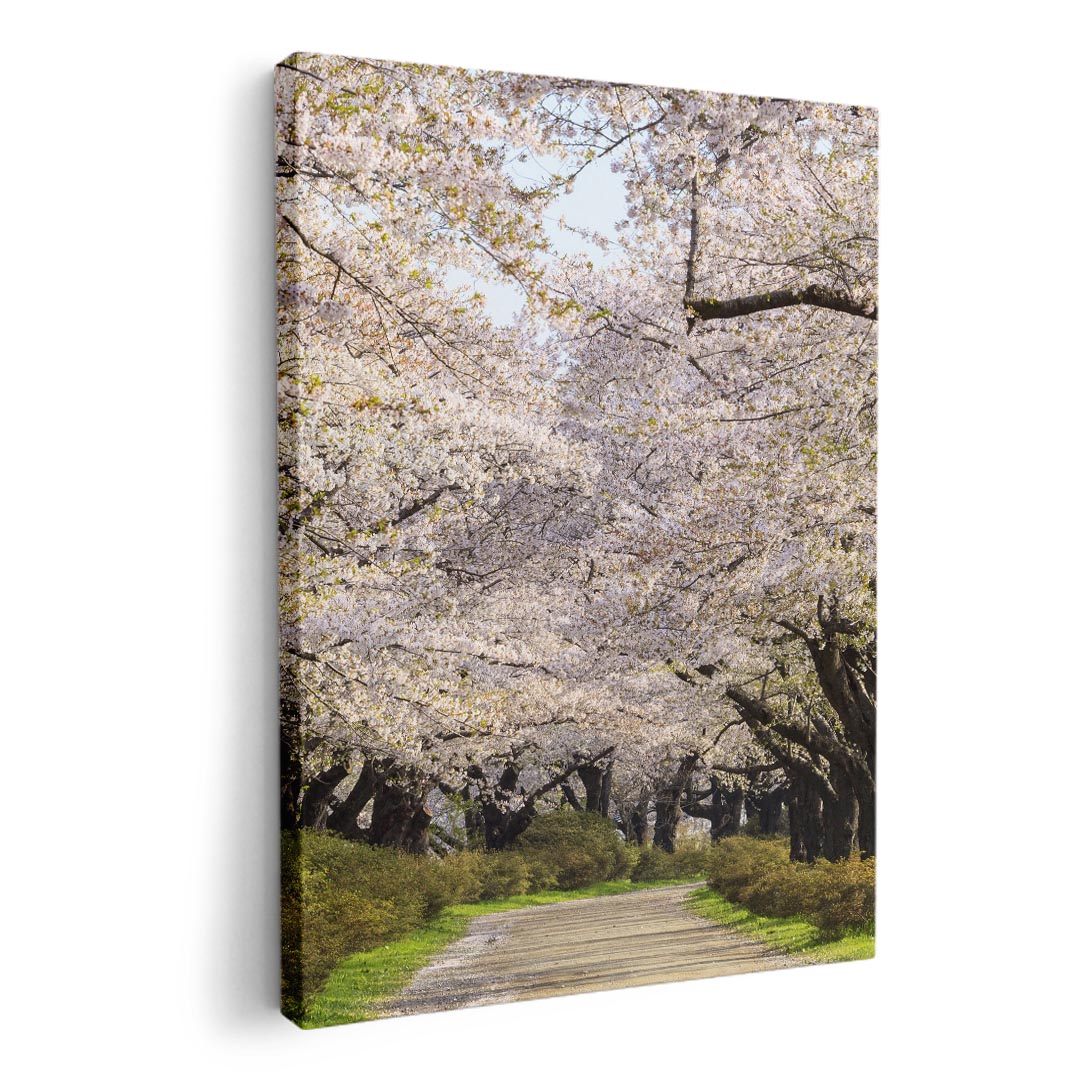 桜 アートパネル 絵画 - インテリア・家具の人気商品・通販・価格比較 