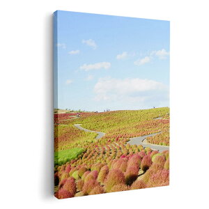 A[gpl G G  IׂTCY 420×594 mm A2 _  ʐ^ tHg CeA  009816 i@iF@ʐ^