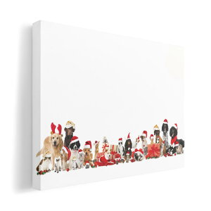 A[gpl G G  IׂTCY 420×594 mm A2 _  ʐ^ tHg CeA  009931 NX}X@@@L