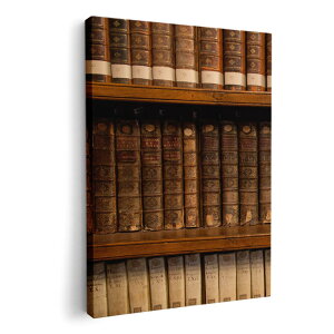 A[gpl G G  IׂTCY 420×594 mm A2 _  ʐ^ tHg CeA  010025 {I@g@ʐ^