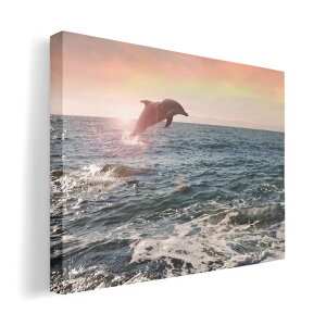 A[gpl G G  IׂTCY 420×594 mm A2 _  ʐ^ tHg CeA  010940 C@CJ@ʐ^