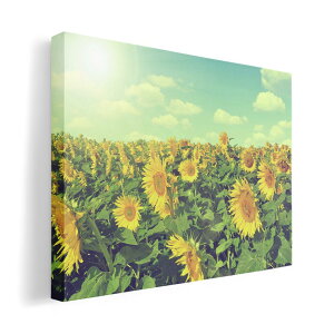 A[gpl G G  IׂTCY 420×594 mm A2 _  ʐ^ tHg CeA  011053 ԁ@Ђ܂@