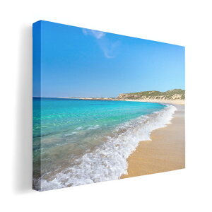 A[gpl G G  IׂTCY 420×594 mm A2 _  ʐ^ tHg CeA  011087 C@r[`@ʐ^
