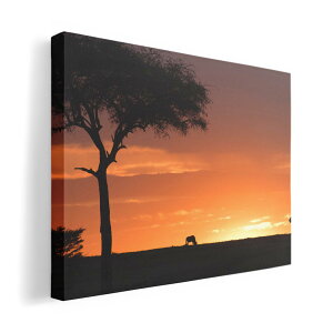 A[gpl G G  IׂTCY 420×594 mm A2 _  ʐ^ tHg CeA  011133 Tt@@@[