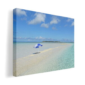 A[gpl G G  IׂTCY 420×594 mm A2 _  ʐ^ tHg CeA  011236 C@r[`@][g