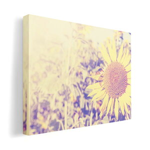 A[gpl G G  IׂTCY 420×594 mm A2 _  ʐ^ tHg CeA  011309 ԁ@Ђ܂@ʐ^