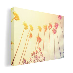 A[gpl G G  IׂTCY 420×594 mm A2 _  ʐ^ tHg CeA  011327 ā@V̖؁@[