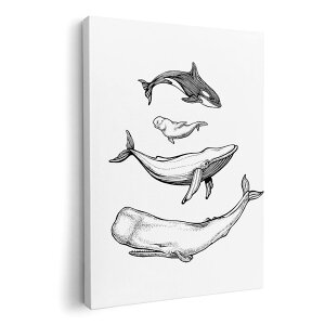 A[gpl G G  IׂTCY 420×594 mm A2 _  ʐ^ tHg CeA  011427 C@@Aj}