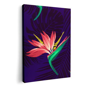 A[gpl G G  IׂTCY 420×594 mm A2 _  ʐ^ tHg CeA  012145 ԁ@A@lCr[