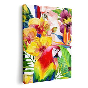 A[gpl G G  IׂTCY 420×594 mm A2 _  ʐ^ tHg CeA  012543 @Jt@썑