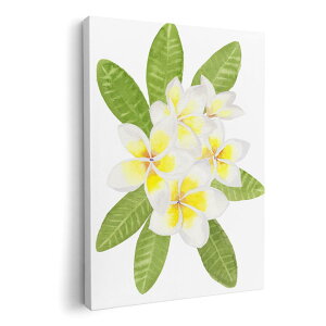 A[gpl G G  IׂTCY 420×594 mm A2 _  ʐ^ tHg CeA  014086 ԁ@t[@F