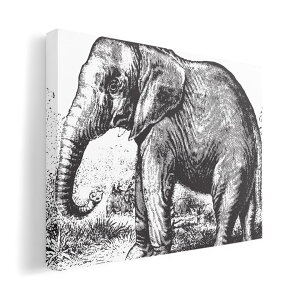 �A�[�g�p�l�� �G �G�� ���� �I�ׂ�T�C�Y 420×594 mm A2 ���_�� ���� �ʐ^ �t�H�g �C���e���A ������� 014371 �]�E�@�����@�A�j�}��