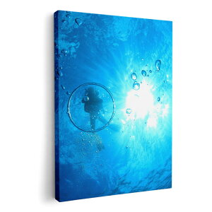 A[gpl G G  IׂTCY 420×594 mm A2 _  ʐ^ tHg CeA  014458 C@_CrO