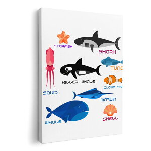 A[gpl G G  IׂTCY 420×594 mm A2 _  ʐ^ tHg CeA  014505 C@@Lk