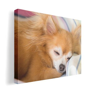 A[gpl G G  IׂTCY 420×594 mm A2 _  ʐ^ tHg CeA  014826 @`@ʐ^