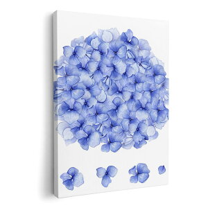 A[gpl G G  IׂTCY 420×594 mm A2 _  ʐ^ tHg CeA  014893 ԁ@Ԃт@