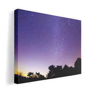 A[gpl G G  IׂTCY 420×594 mm A2 _  ʐ^ tHg CeA  014964 i@R@wi@