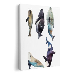 A[gpl G G  IׂTCY 420×594 mm A2 _  ʐ^ tHg CeA  015835 @C@@V`