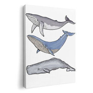 A[gpl G G  IׂTCY 420×594 mm A2 _  ʐ^ tHg CeA  015851 @@C