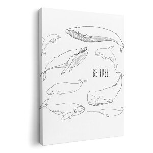 A[gpl G G  IׂTCY 420×594 mm A2 _  ʐ^ tHg CeA  015861 @C@